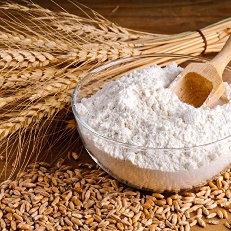 Lokwan wheat