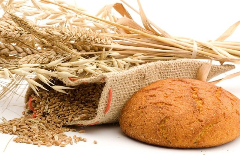 Common bread wheat
