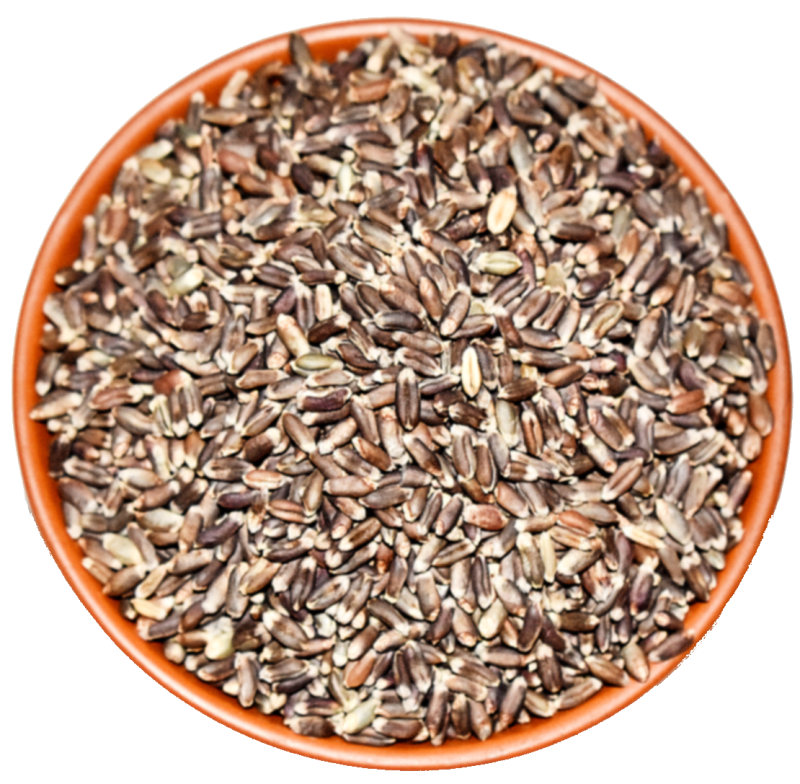 Black wheat